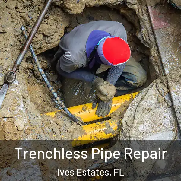  Trenchless Pipe Repair Ives Estates, FL