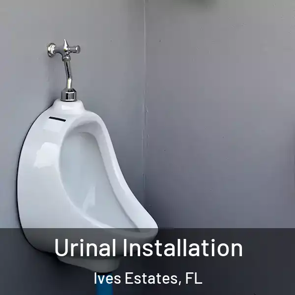  Urinal Installation Ives Estates, FL
