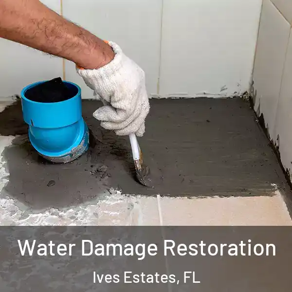  Water Damage Restoration Ives Estates, FL