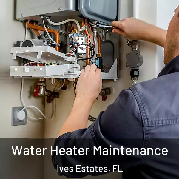  Water Heater Maintenance Ives Estates, FL