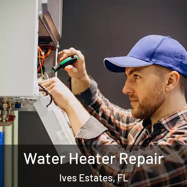  Water Heater Repair Ives Estates, FL