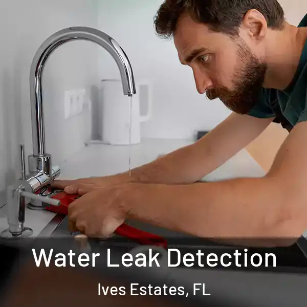  Water Leak Detection Ives Estates, FL